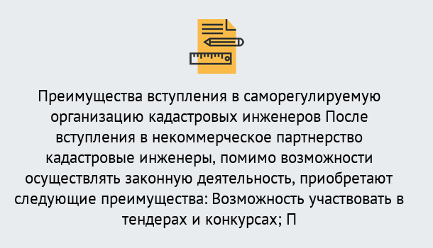 Почему нужно обратиться к нам? Верхний Уфалей Что дает допуск СРО кадастровых инженеров?