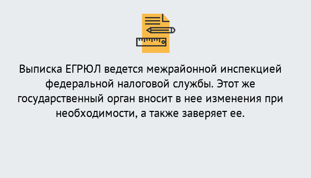 Почему нужно обратиться к нам? Верхний Уфалей Выписка ЕГРЮЛ в Верхний Уфалей ?