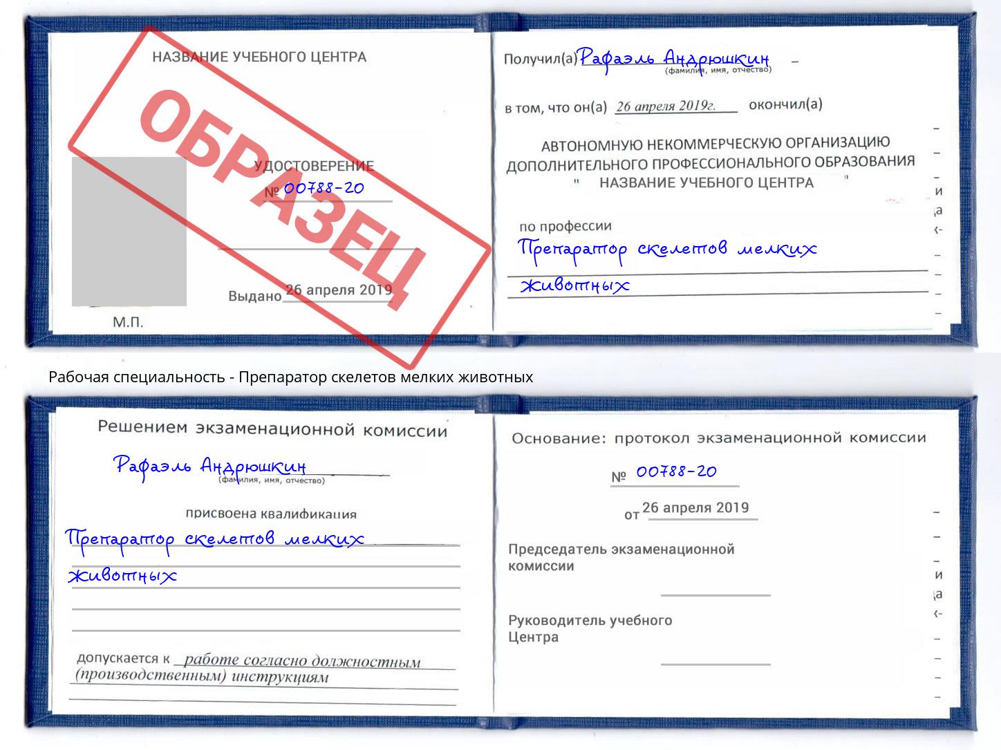 Препаратор скелетов мелких животных Верхний Уфалей