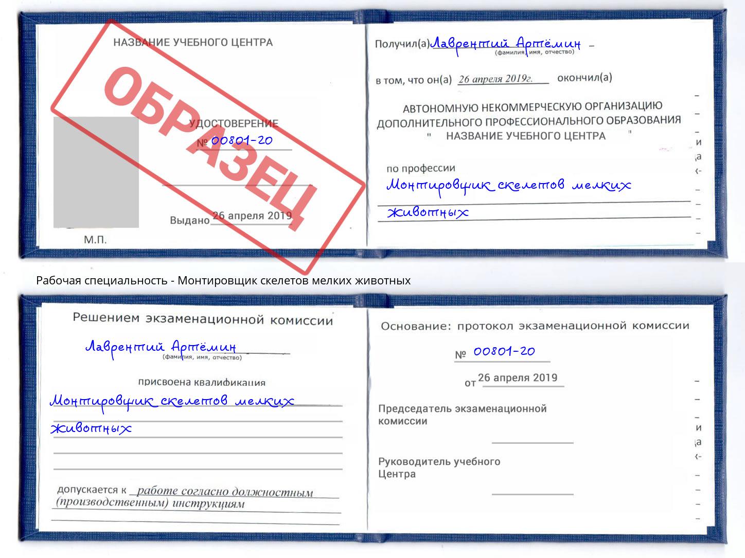 Монтировщик скелетов мелких животных Верхний Уфалей